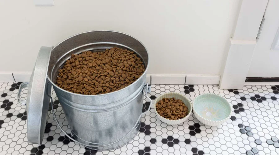 Featured image for the article on the topic Maximizing Space: Clever Dog Food Storage Idea for Small Apartments