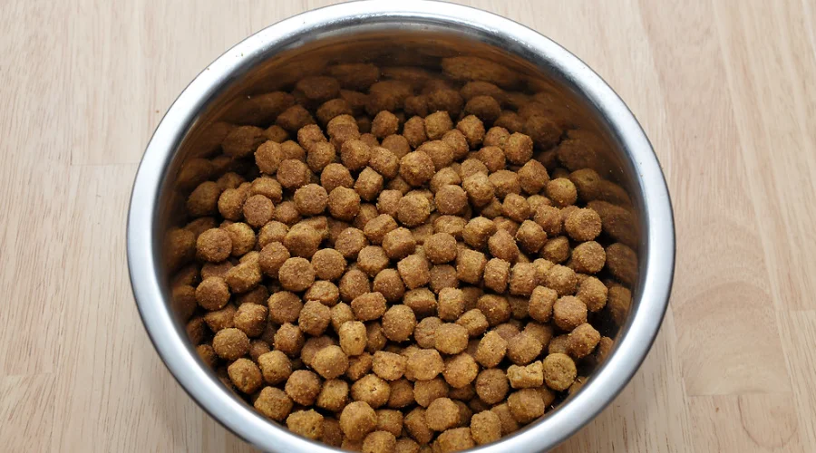 quantity of protein in a bowl of dog food 