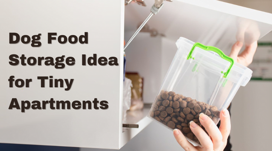 Featured image for the article on the topic Dog Food Storage Idea for Small Apartments