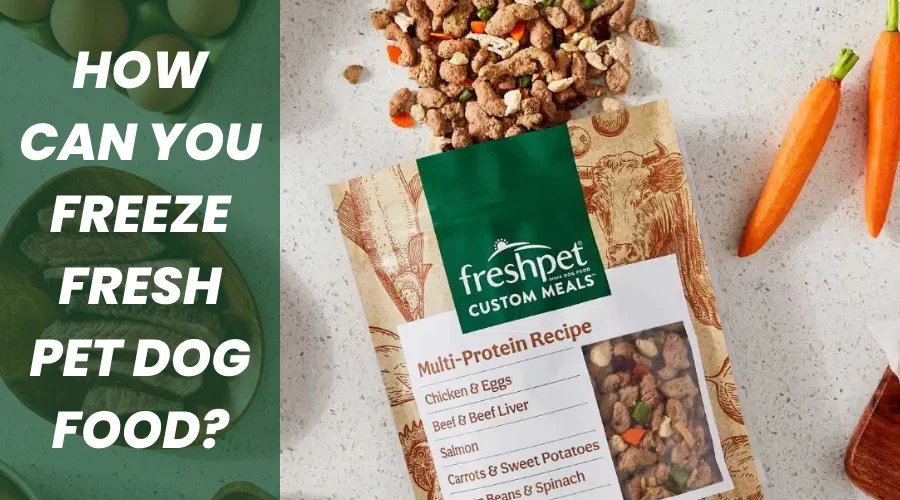 this images if the following article describes about how can you freeze fresh pet dog food