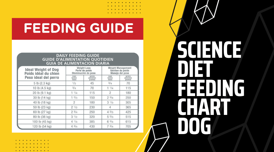learn all about the science diet feeding chart dog