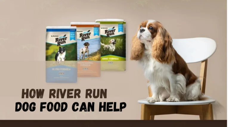 Feautured image for the article How River Run Dog Food Can Help