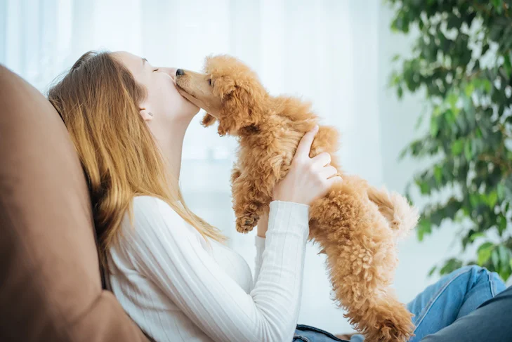 Human Interaction on Canine Attachment