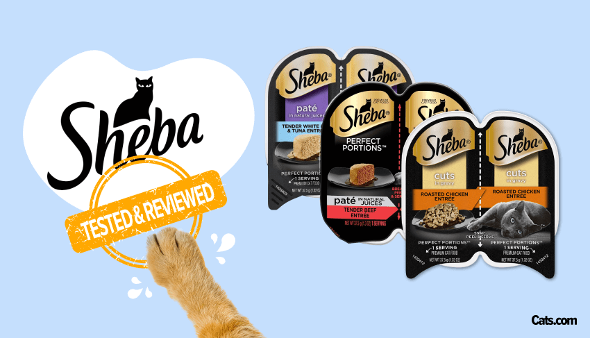 Sheba cat food