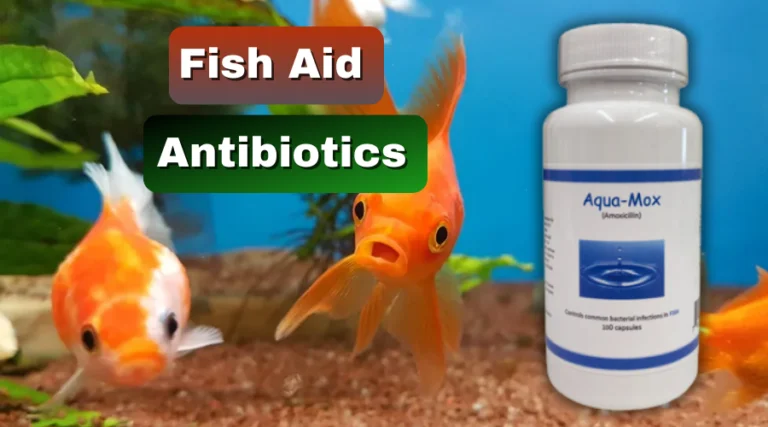 this image if the following article describes about the fish aid antibiotics