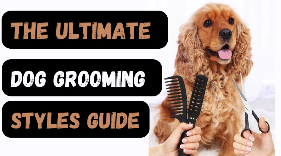 Feautured Image for the article topic the ultimate dog grooming styles guide
